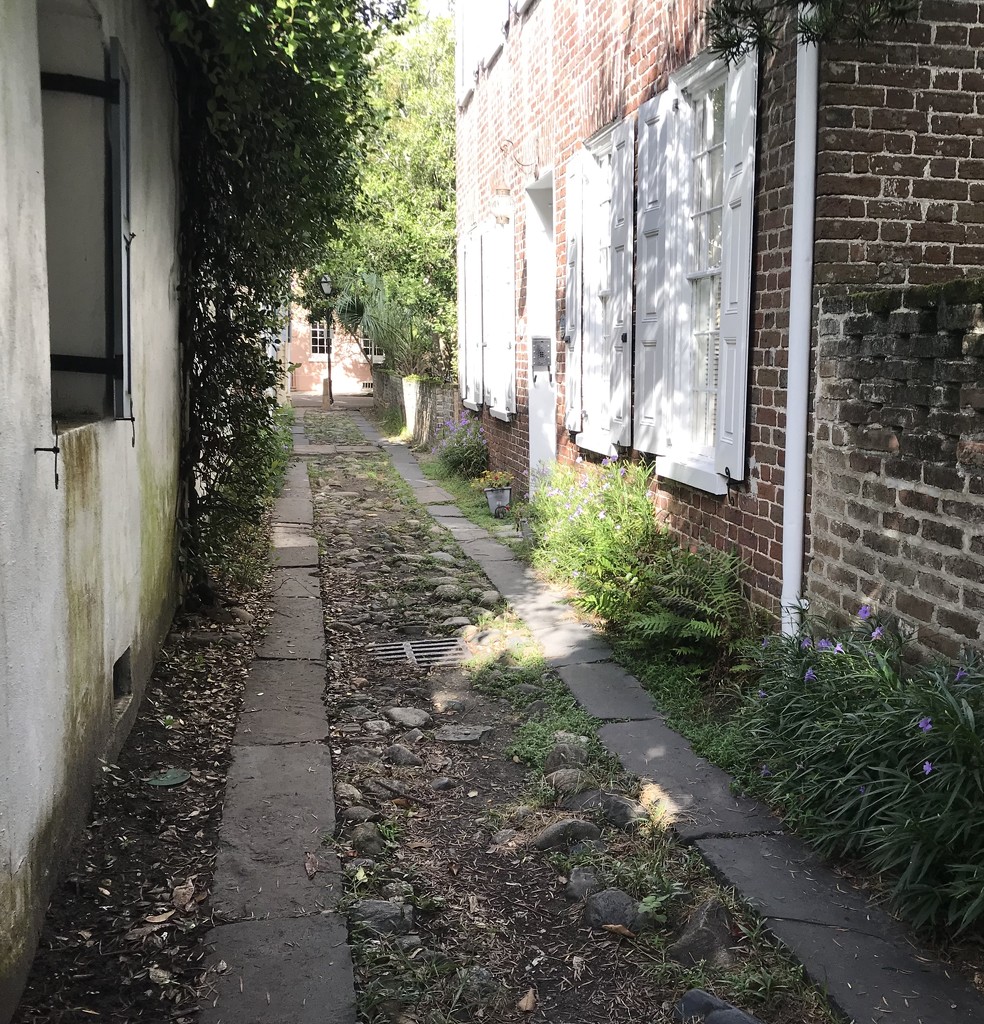Charleston Alley by gratitudeyear