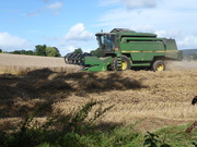 1st Sep 2019 - Good weather for the combine...