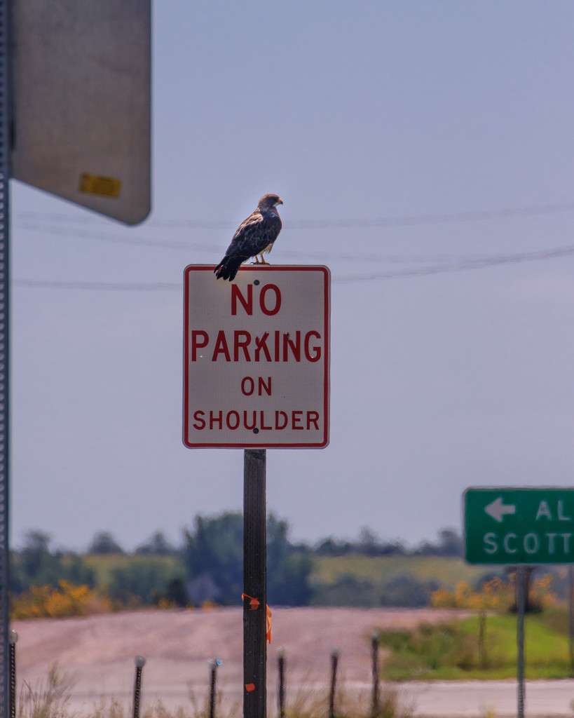 no parking by aecasey