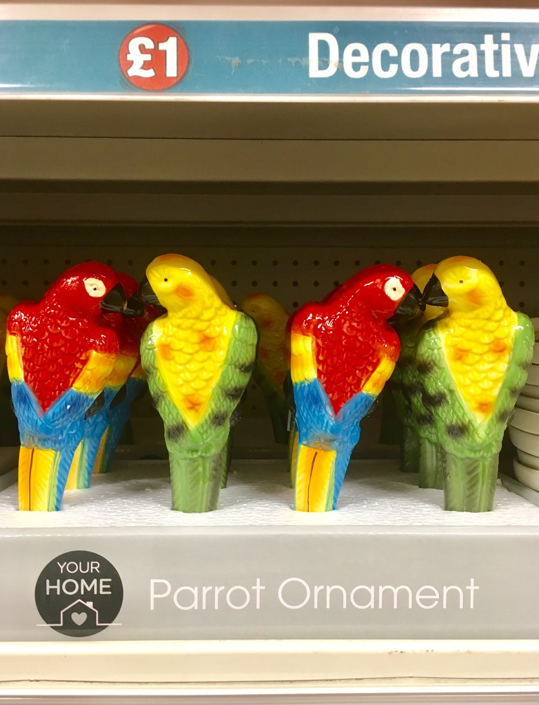 Poundland parrots by pattyblue