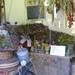 Ye olde herb shoppe by chimfa
