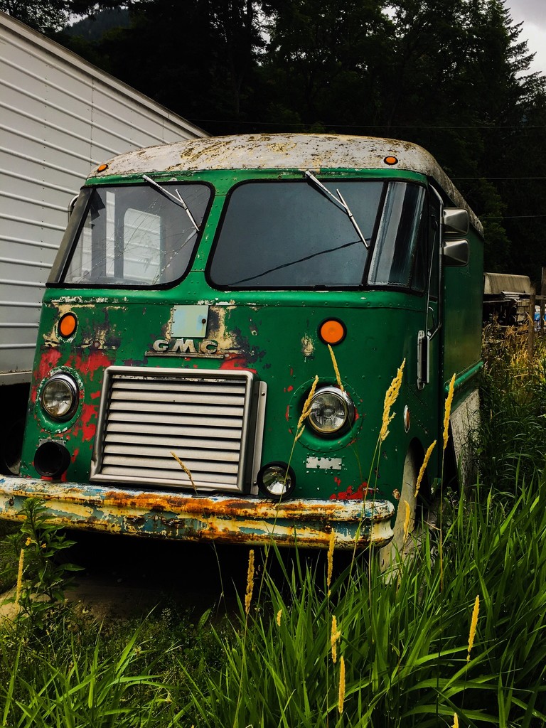 Old Green Truck by clay88