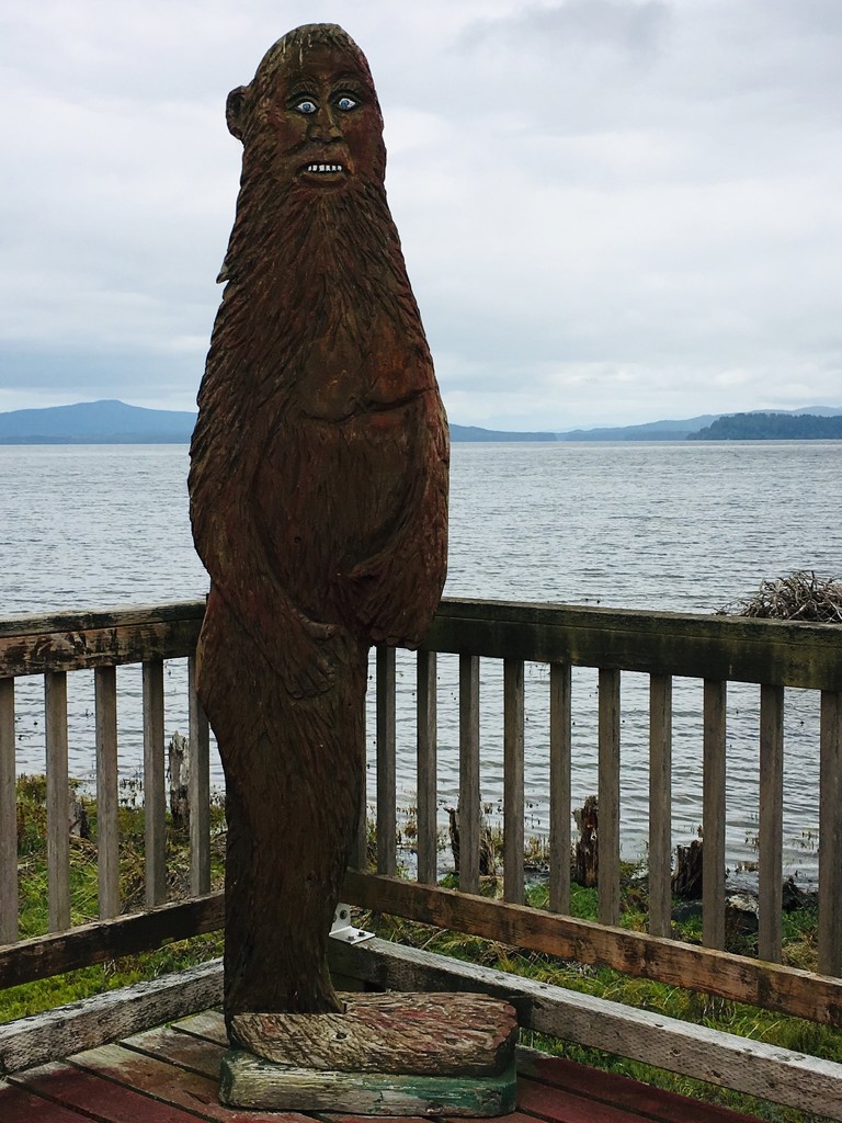 Bigfoot in Oysterville WA by clay88