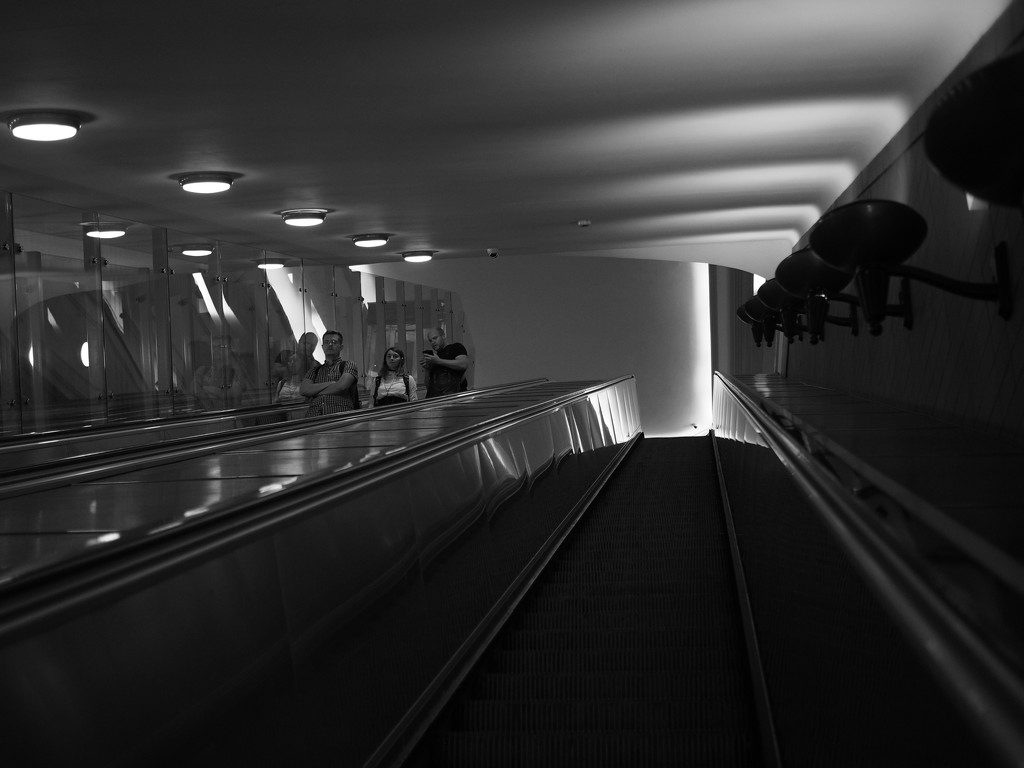 Escalator by haskar