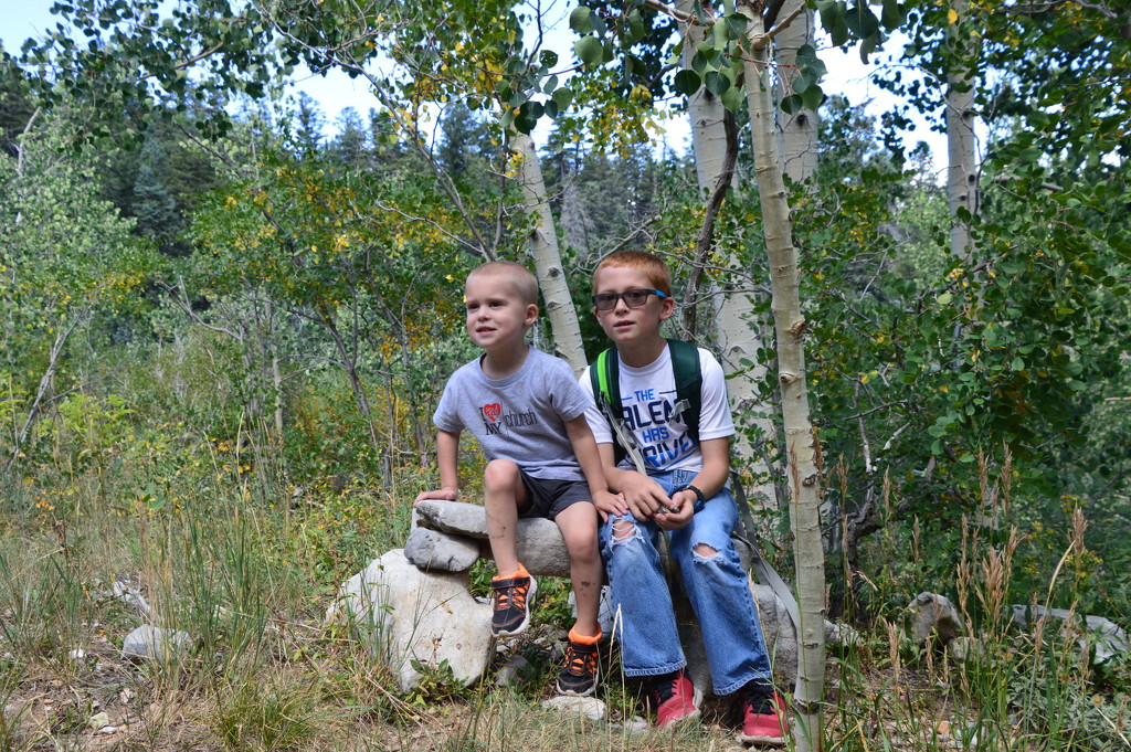 Hiking Brothers. by bigdad