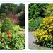 Bridgemere gardens -3 by beryl
