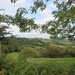 Devon view by lellie