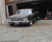 31st Aug 2019 - 1965 El Camino Comes Out of the Garage