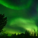 Northern Lights 63 miles north of Arctic Circle  by dridsdale