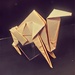 Origami: Camel by jnadonza