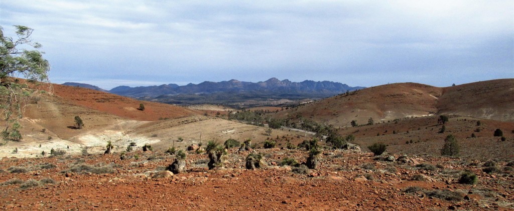 Heading North from Wilpena Pound.... by robz