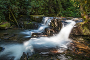 3rd Sep 2019 - Wildcat Creek Waterfalls