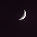 Crescent moon by danette