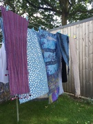 4th Sep 2019 - Wash Day Blues