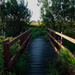 Footbridge by lifeat60degrees