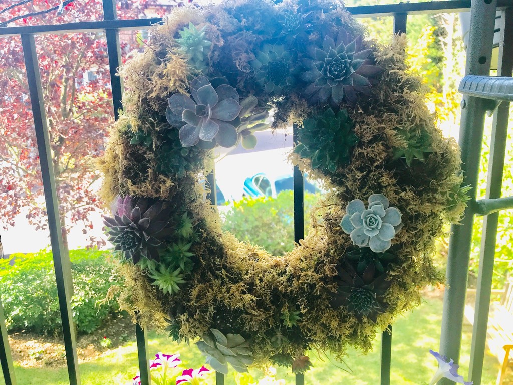 Living Wreath is Thriving by elainepenney
