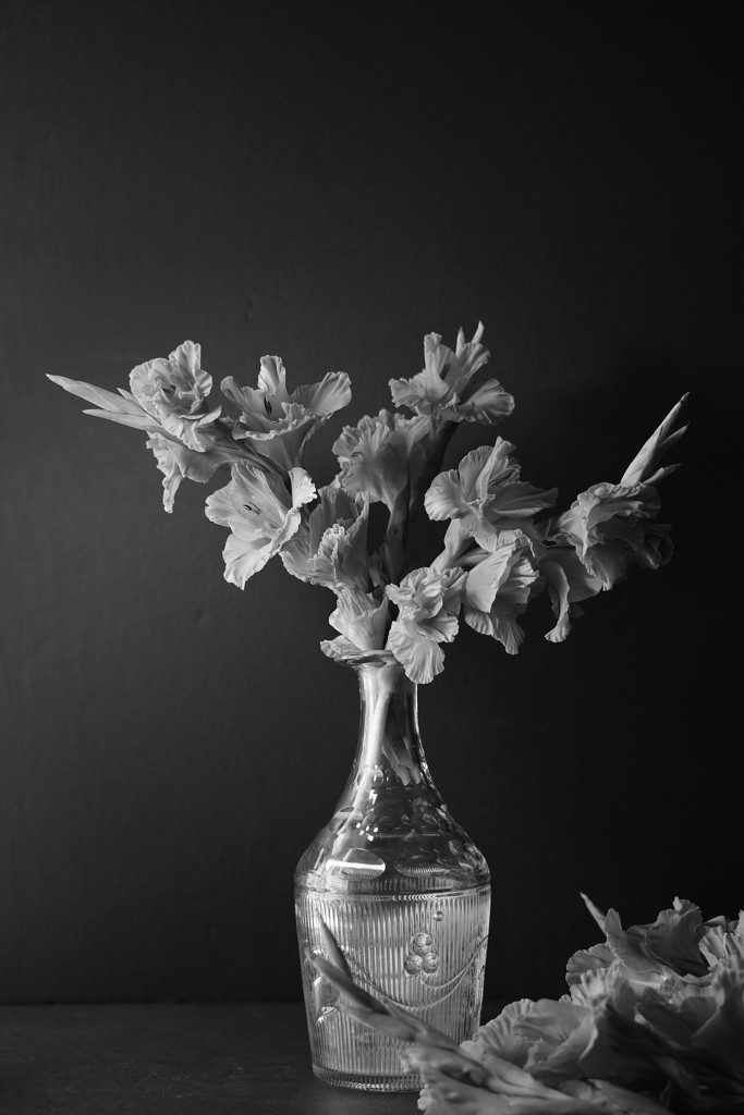 playing with my gladiolus-2 by jernst1779
