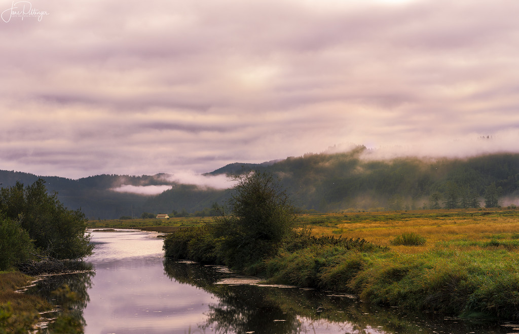 Foggy Waite Ranch Dawn by jgpittenger