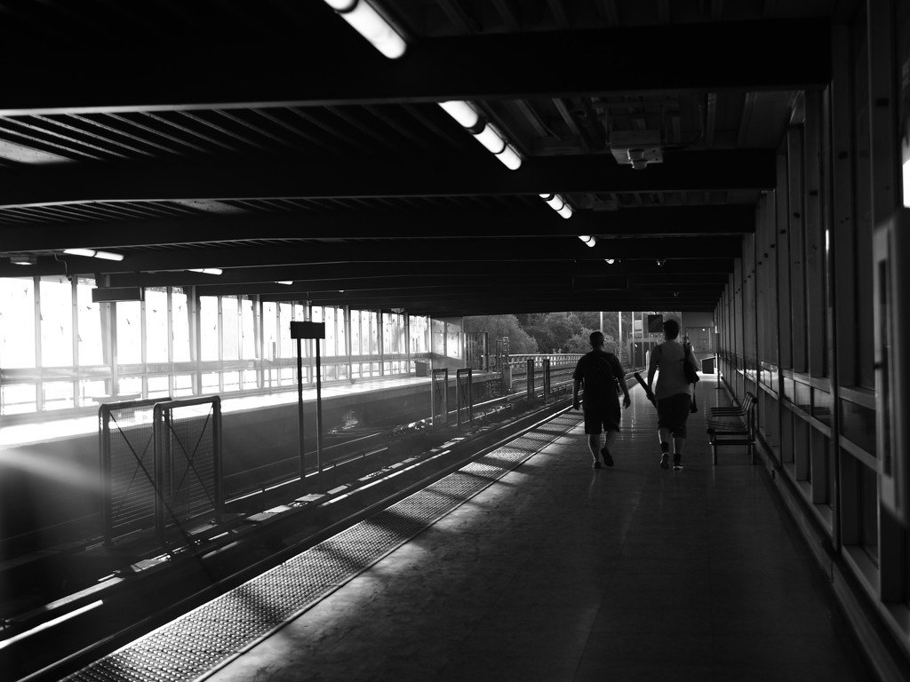 sunshine on the platform by northy