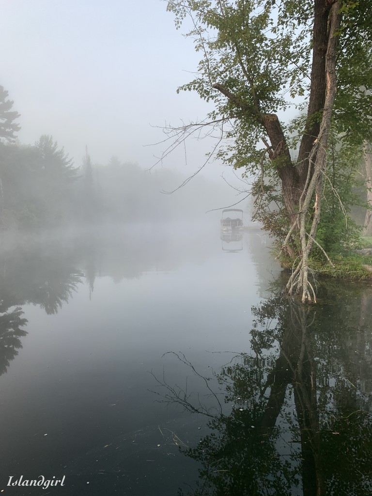 Foggy Morning on the River by radiogirl