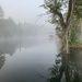 Foggy Morning on the River by radiogirl