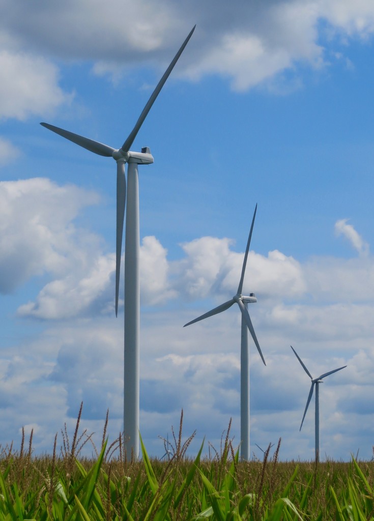 Wind Farm by margonaut
