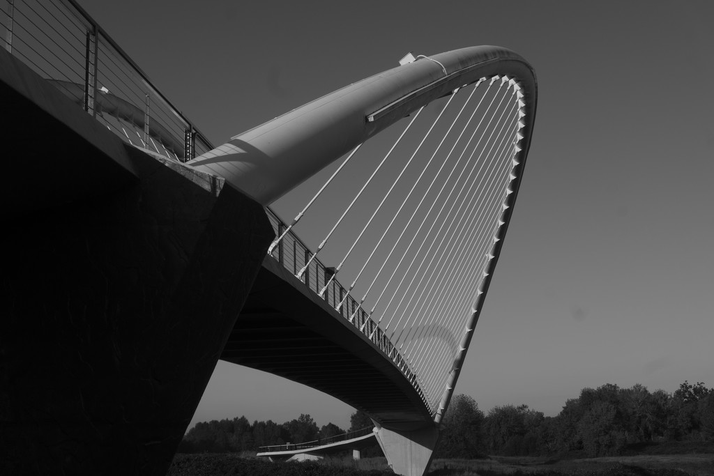 Bridge by granagringa