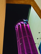 5th Sep 2019 - Komtar in the pink