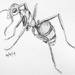 Ant by harveyzone