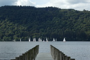 7th Sep 2019 - the Windermere 17s