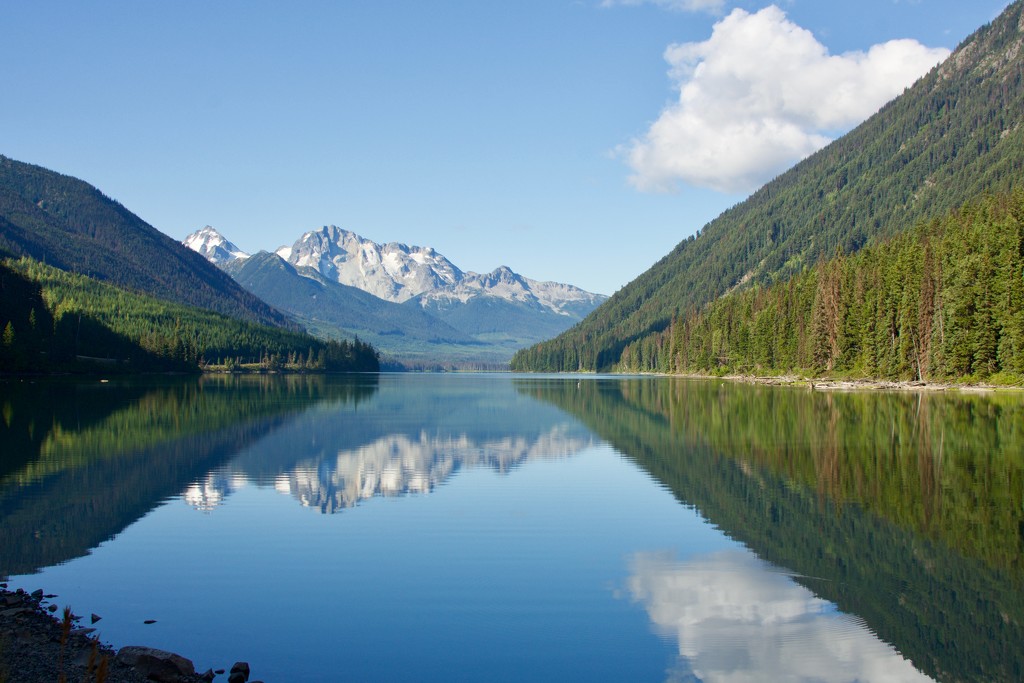 Duffey Lake DSC_6404 by merrelyn