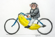 6th Sep 2019 - Chimp on a Banana Bike