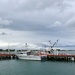 Another Port Albert scene by pictureme
