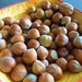 Nuts by lellie
