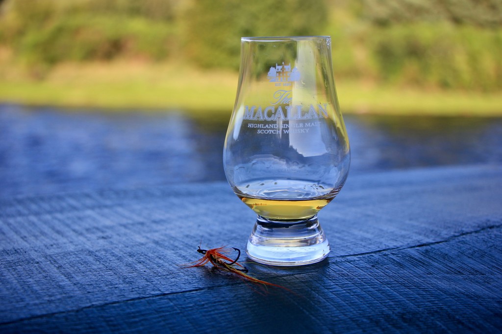 A dram and a fly by jamibann