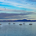 9 yachts by frequentframes