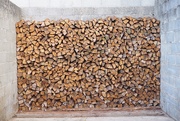 8th Sep 2019 - How much wood would a wood stocker stock if a wood stocker could stock wood?