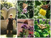 9th Sep 2019 - I am One with the Butterflies