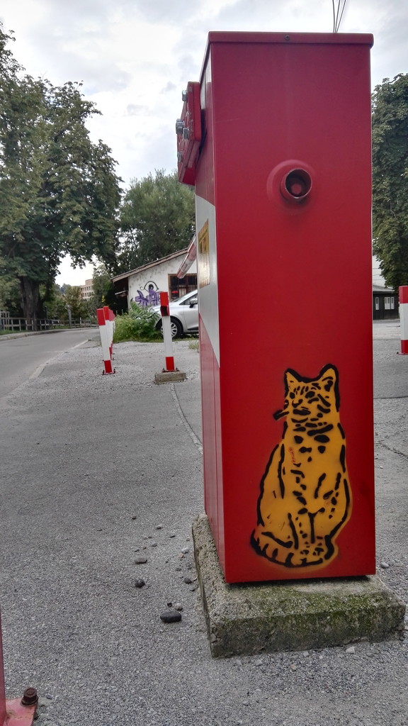 cat graffiti by zardz