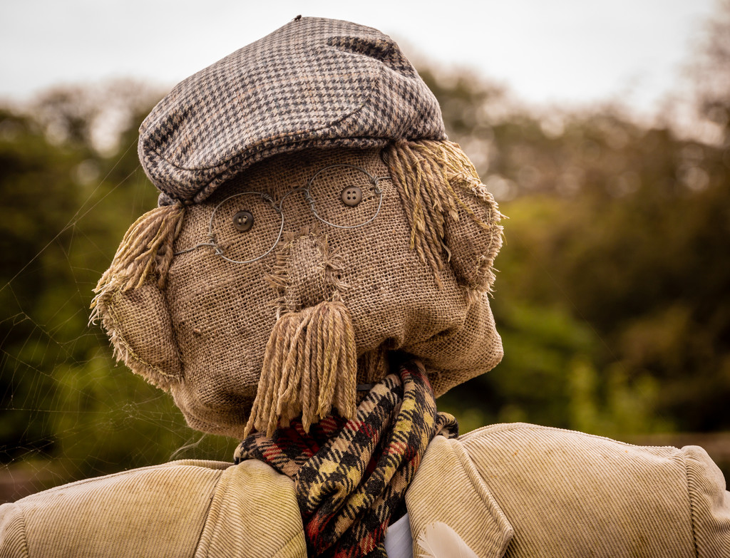 Scarecrow by swillinbillyflynn