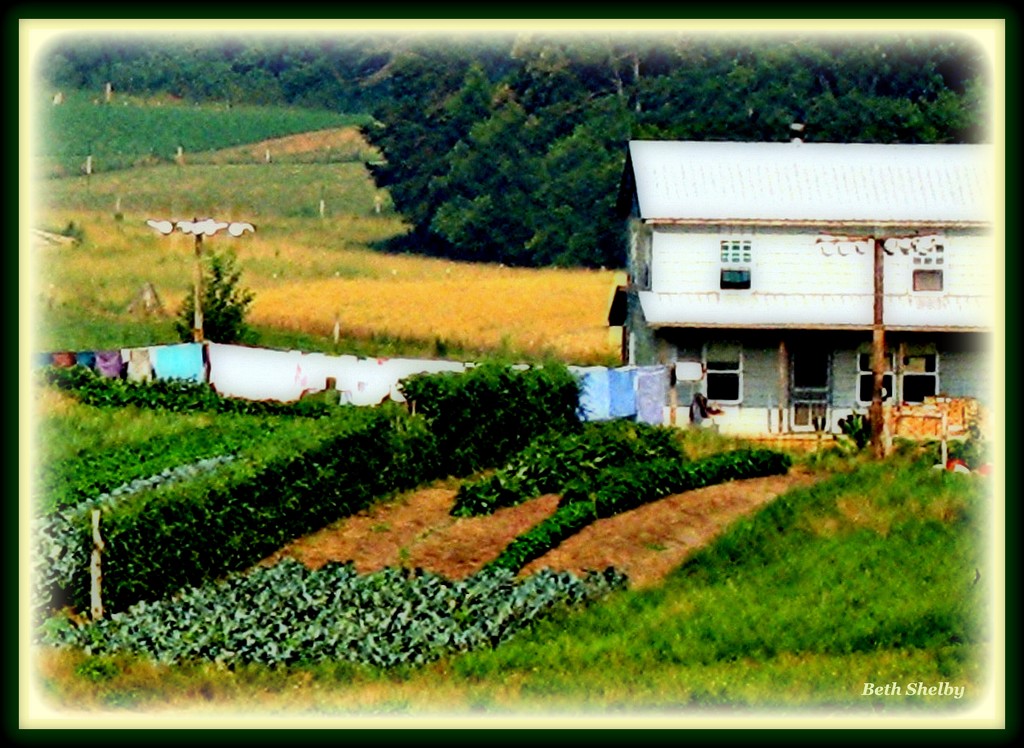 Simple Life in an Amish Community by vernabeth