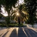 Sunset Palm by loweygrace