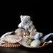 She Sells Sea Shells.... by carole_sandford