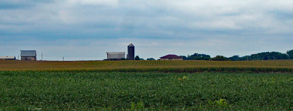 A farm in Iowa by larrysphotos