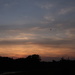 Sunset at Schon Park - NF-SOOC by lsquared