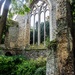 Walsingham Abbey by padlock
