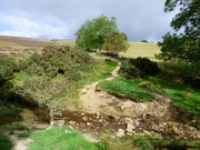10th Sep 2019 - Ford over Hole Beck