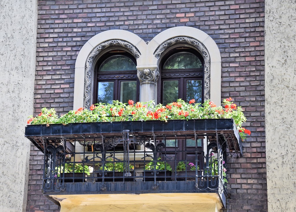 Floral balcony.... by kork