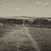 Cuckmere panorama by rumpelstiltskin