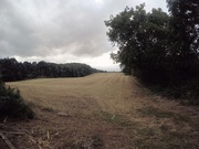 9th Sep 2019 - Just a field